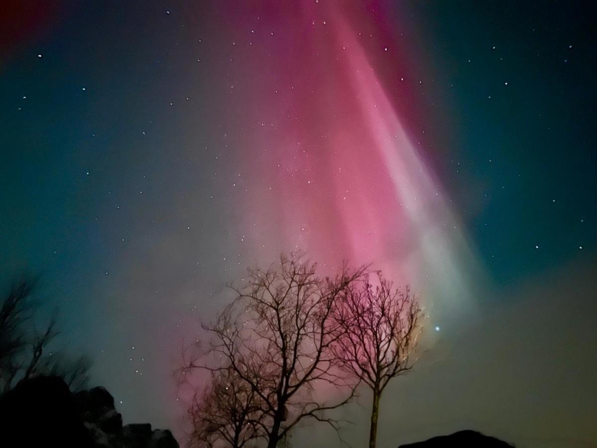 Lofoten Glampingdome