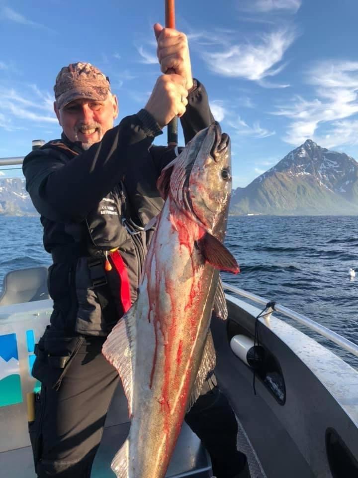 Lofoten Glampingdome Myrland