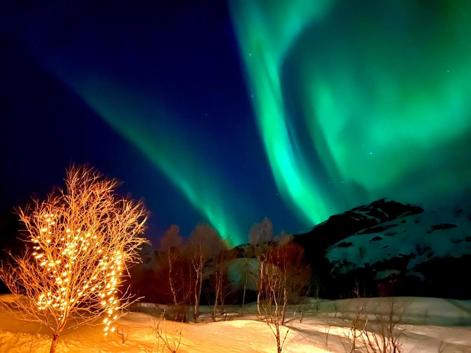 Lofoten Glampingdome *