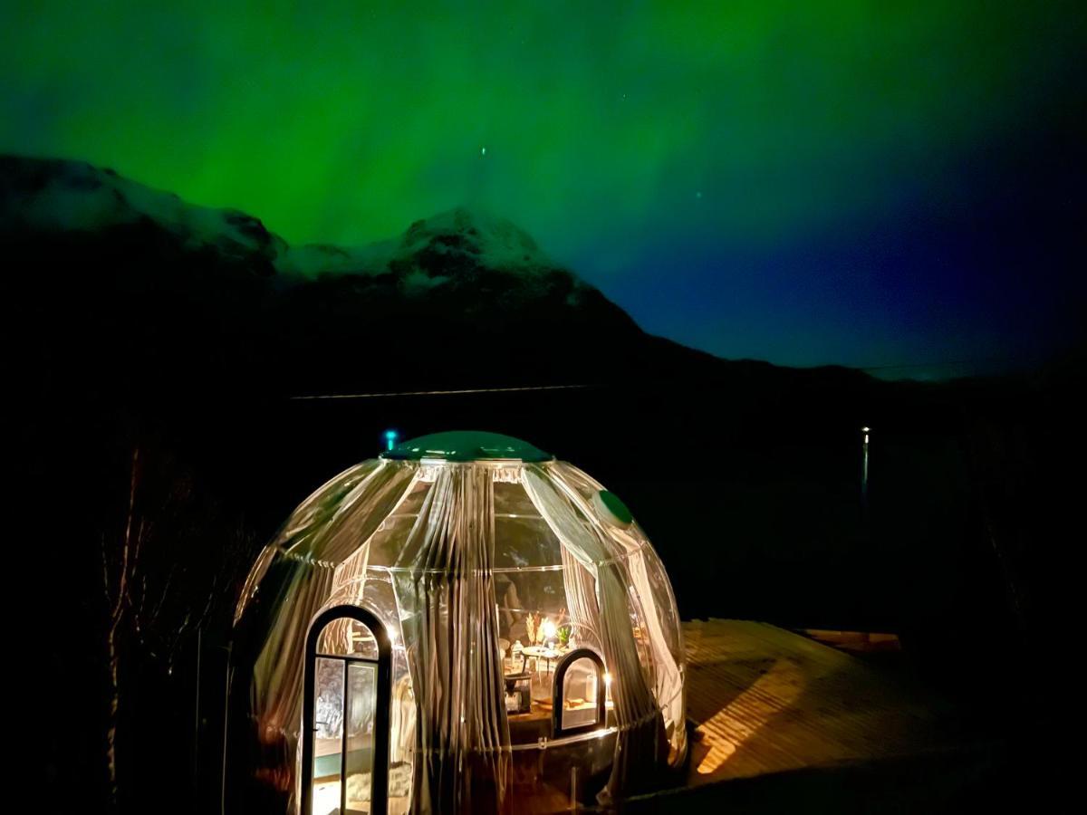Campo de lujo Lofoten Glampingdome