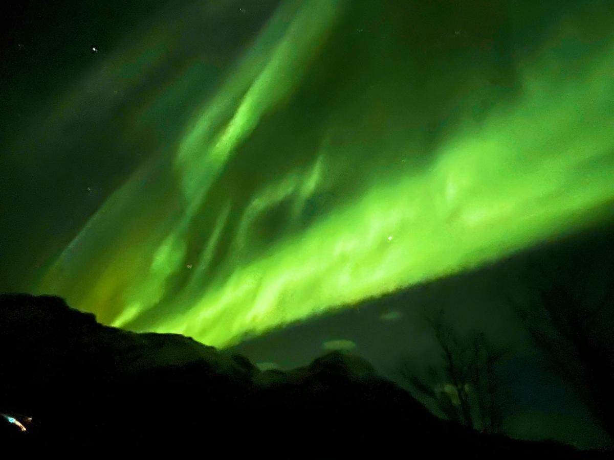 Lofoten Glampingdome Campo de lujo Myrland