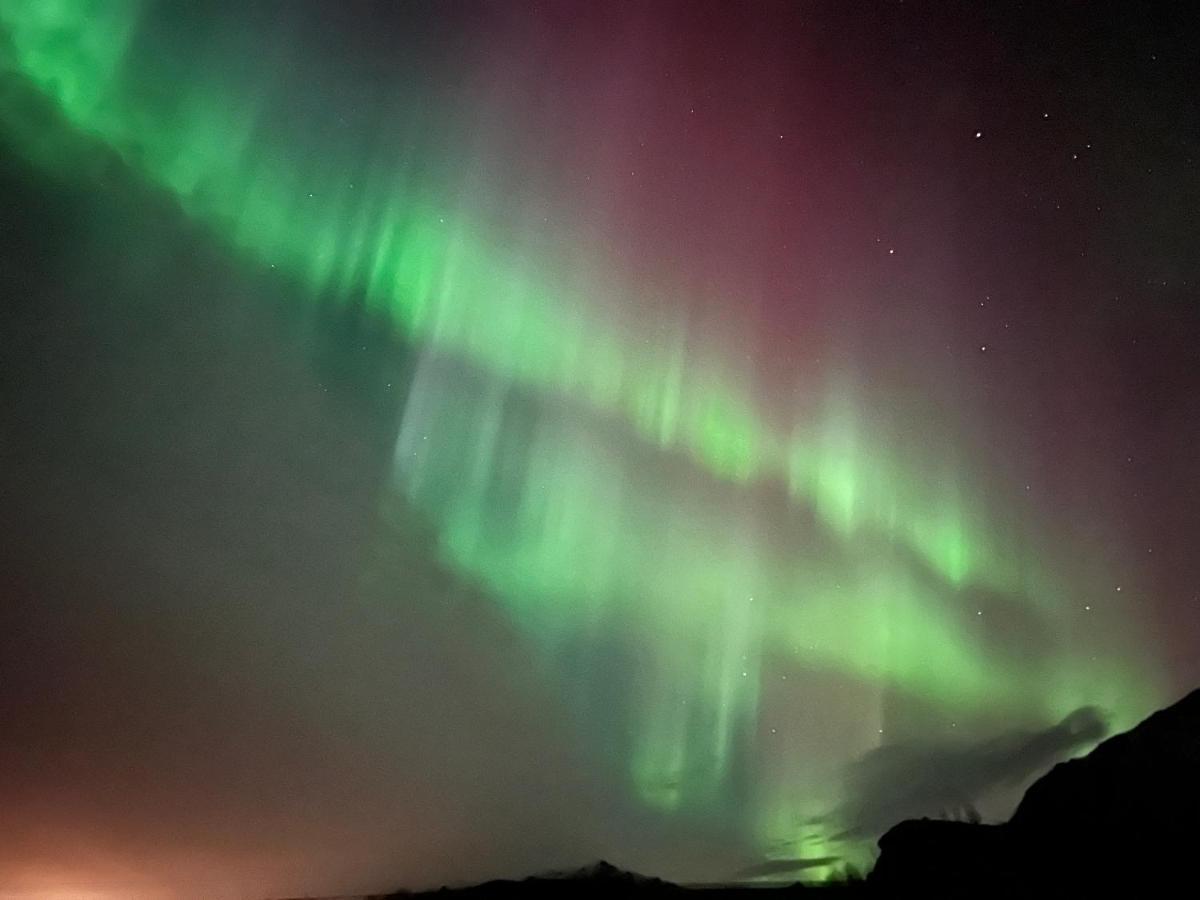 Campo de lujo Lofoten Glampingdome