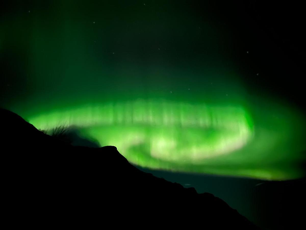 Campo de lujo Lofoten Glampingdome *