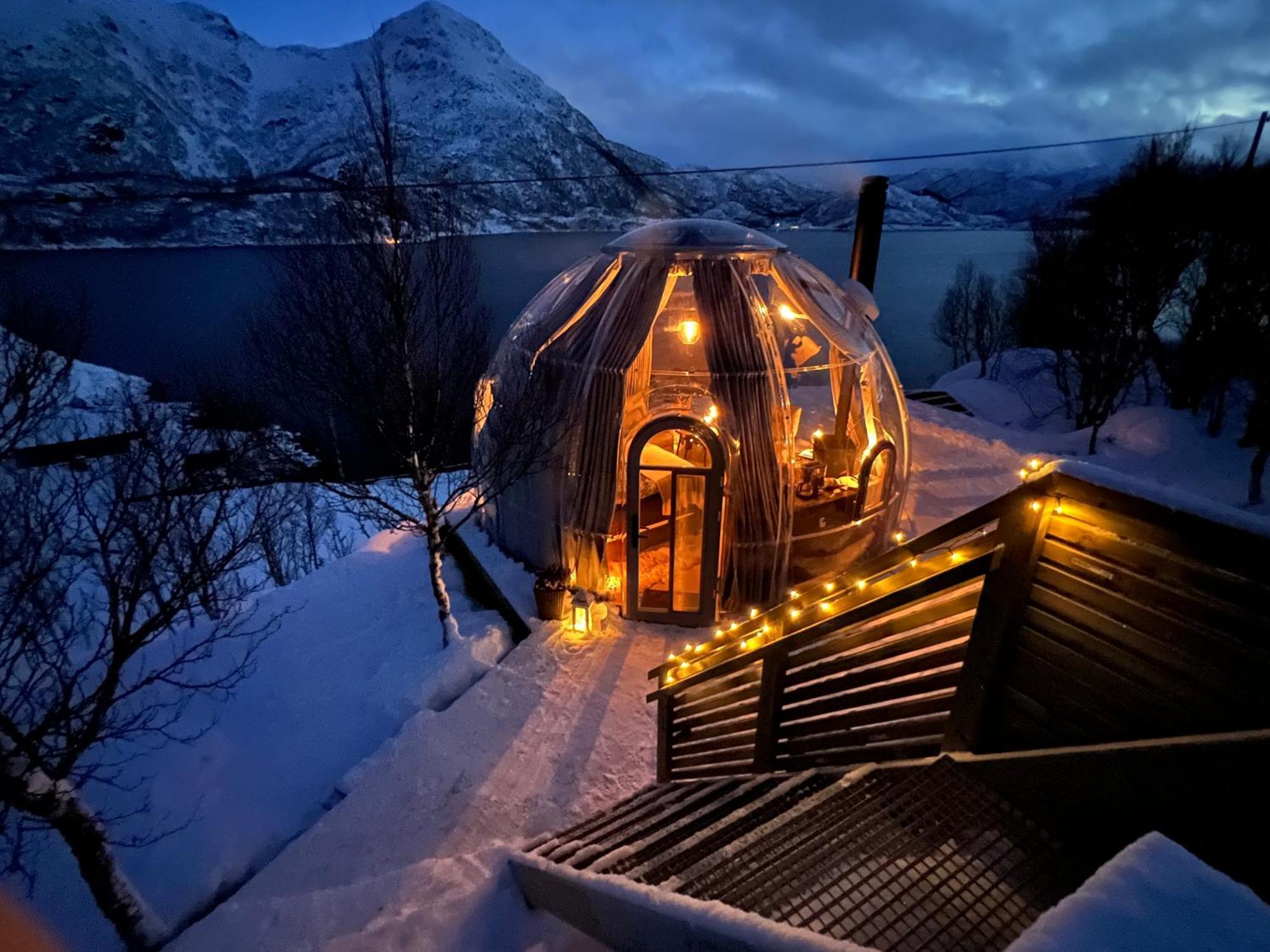 Lofoten Glampingdome Campo de lujo
