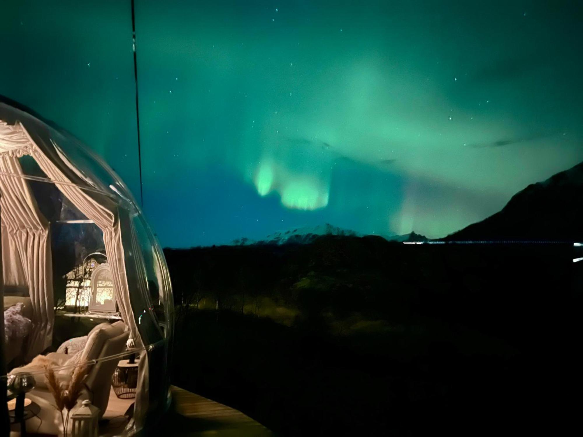 Campo de lujo Lofoten Glampingdome *