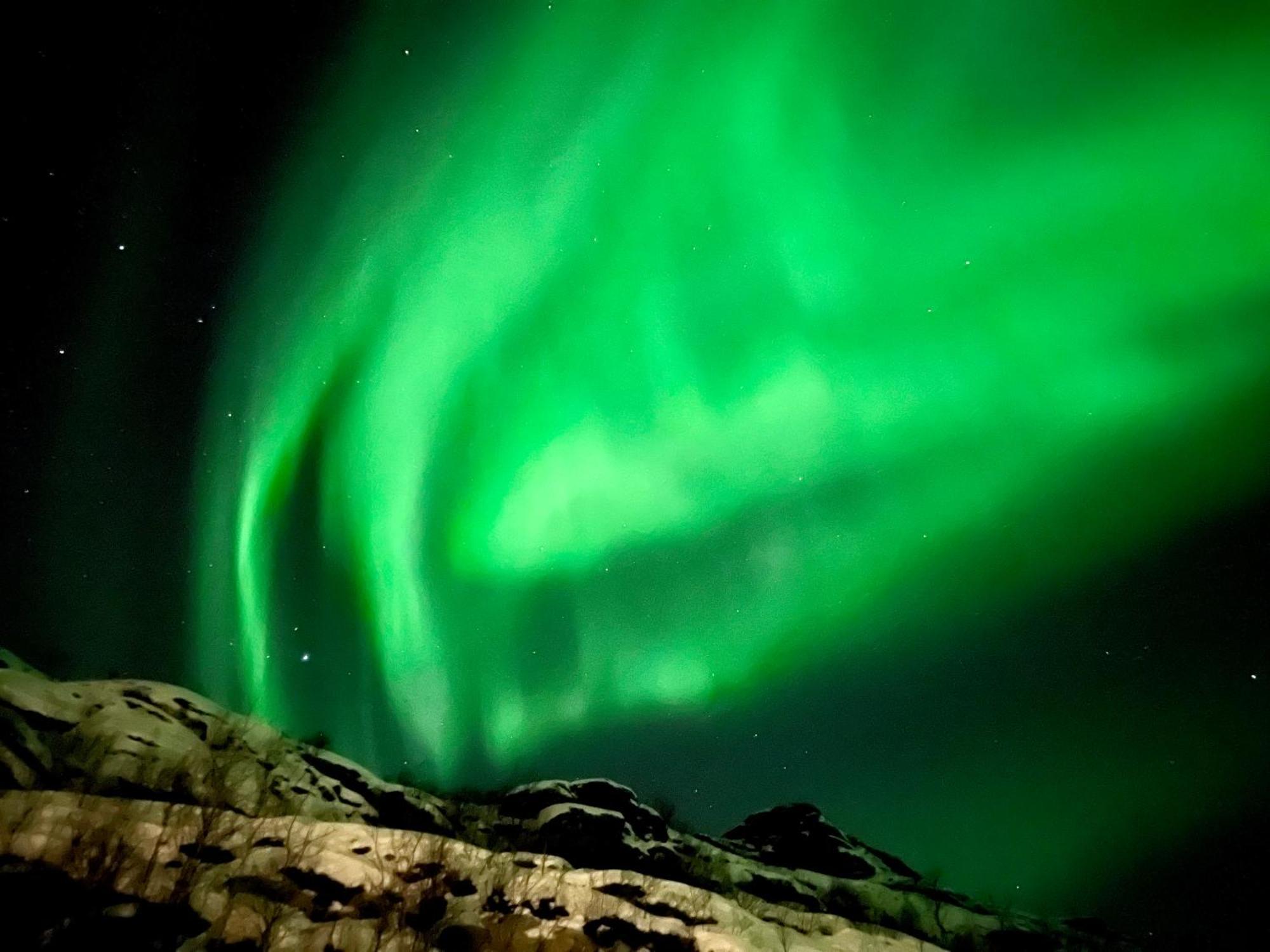 Lofoten Glampingdome Myrland