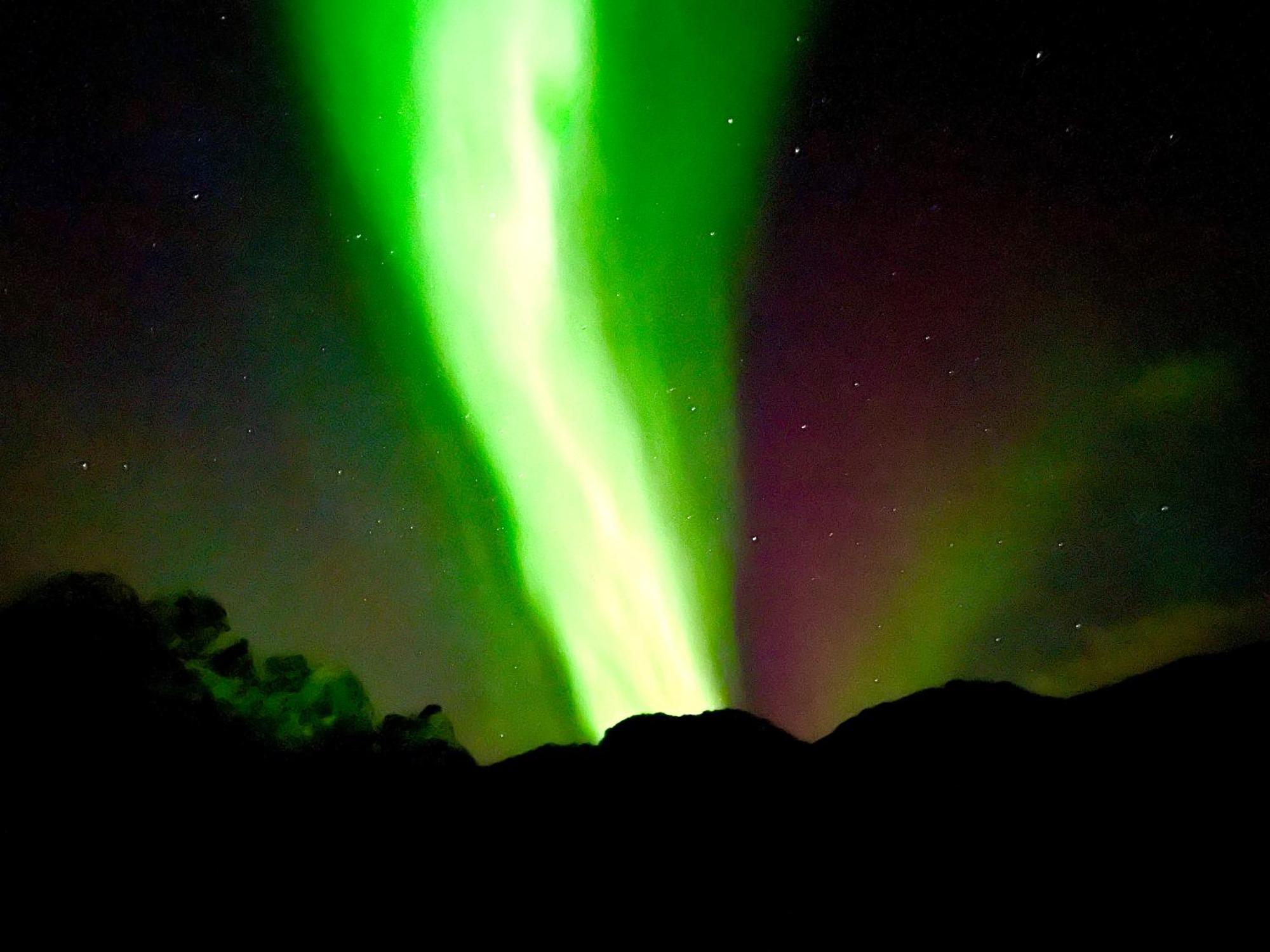 Campo de lujo Lofoten Glampingdome *