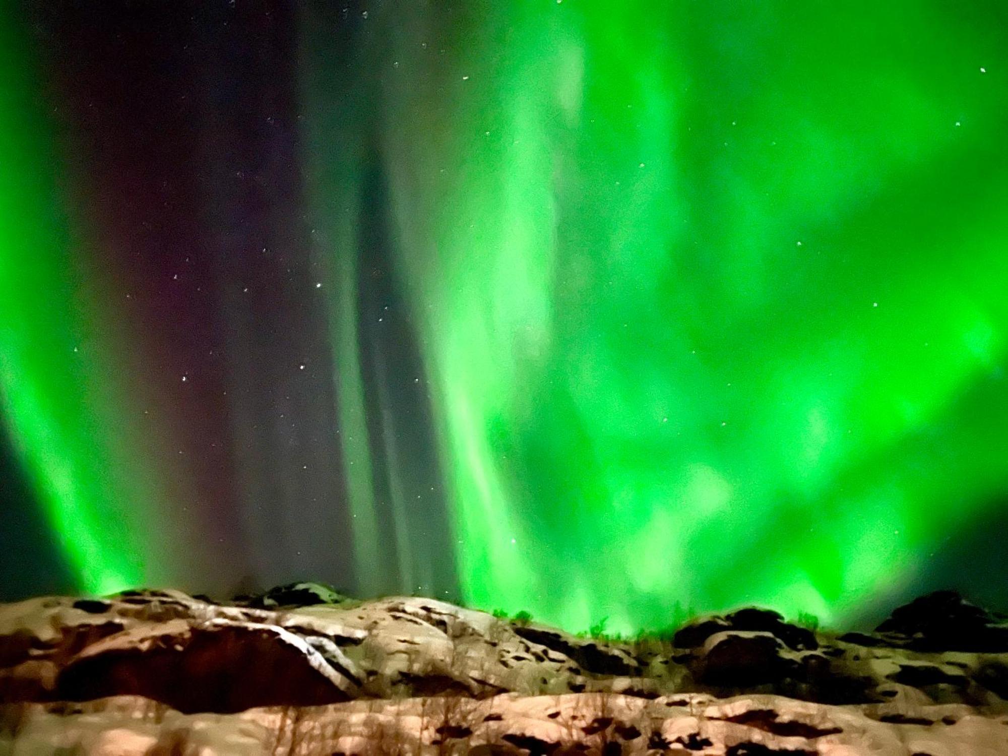Lofoten Glampingdome *