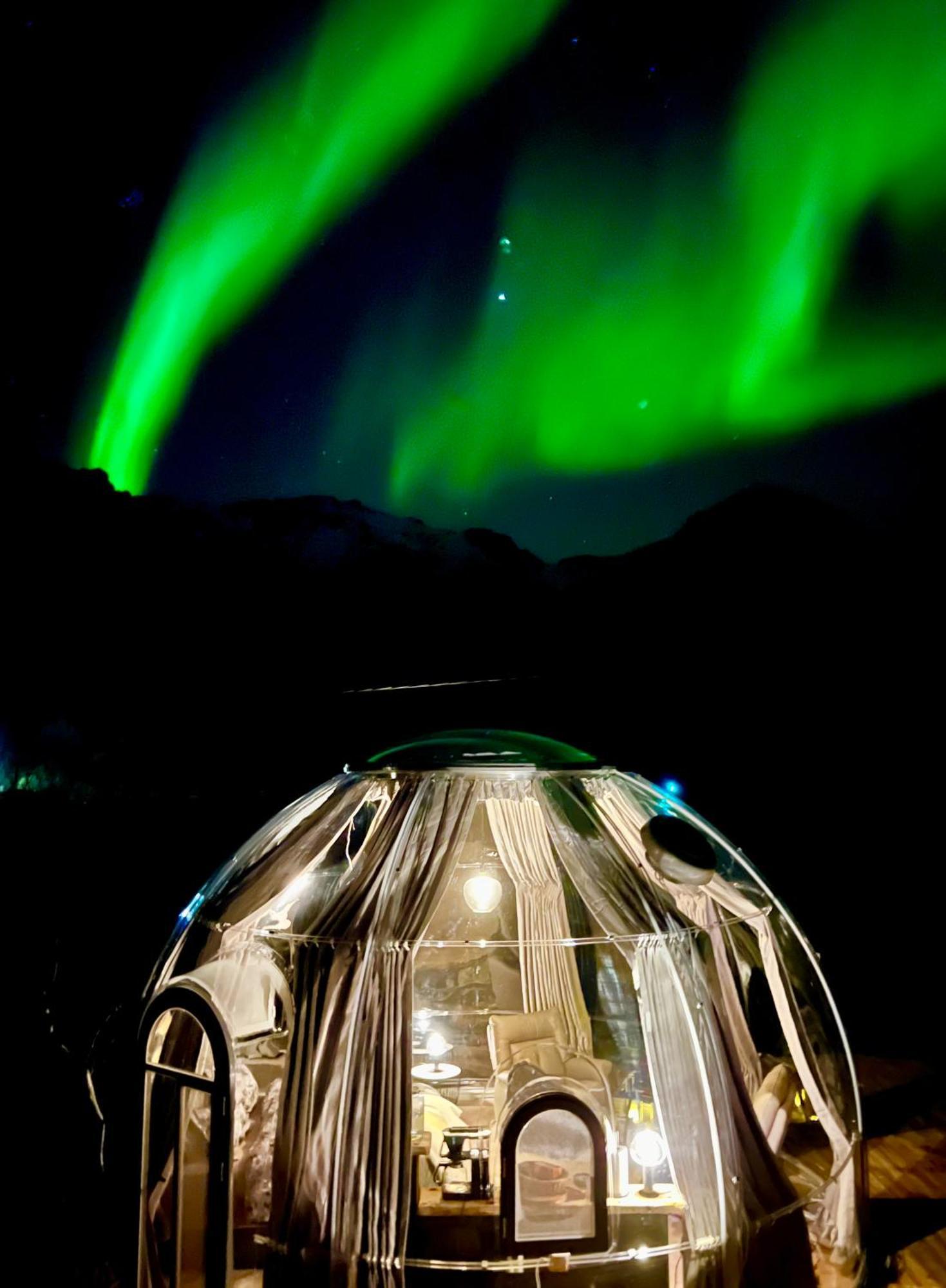 Campo de lujo Lofoten Glampingdome