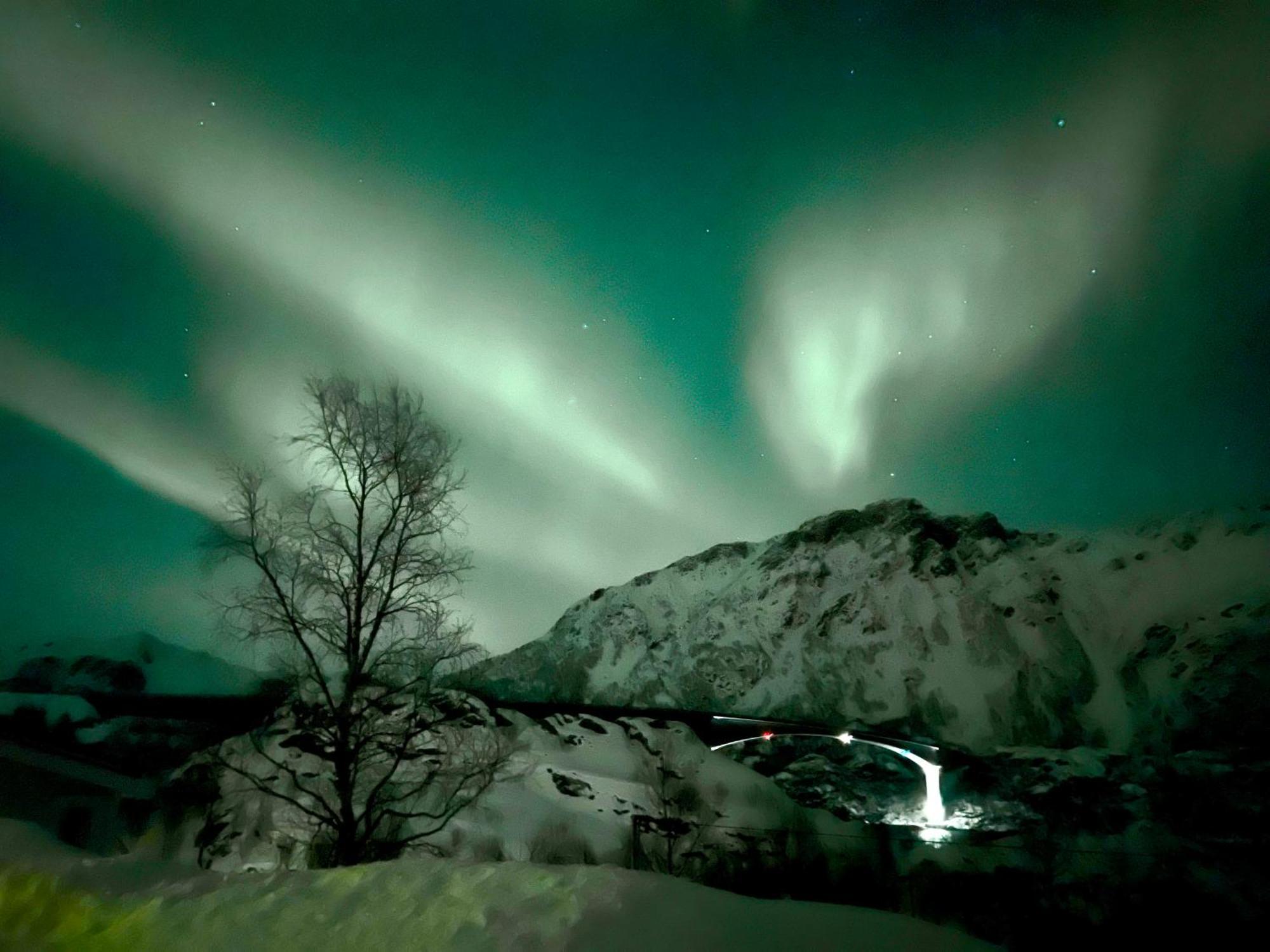 Lofoten Glampingdome