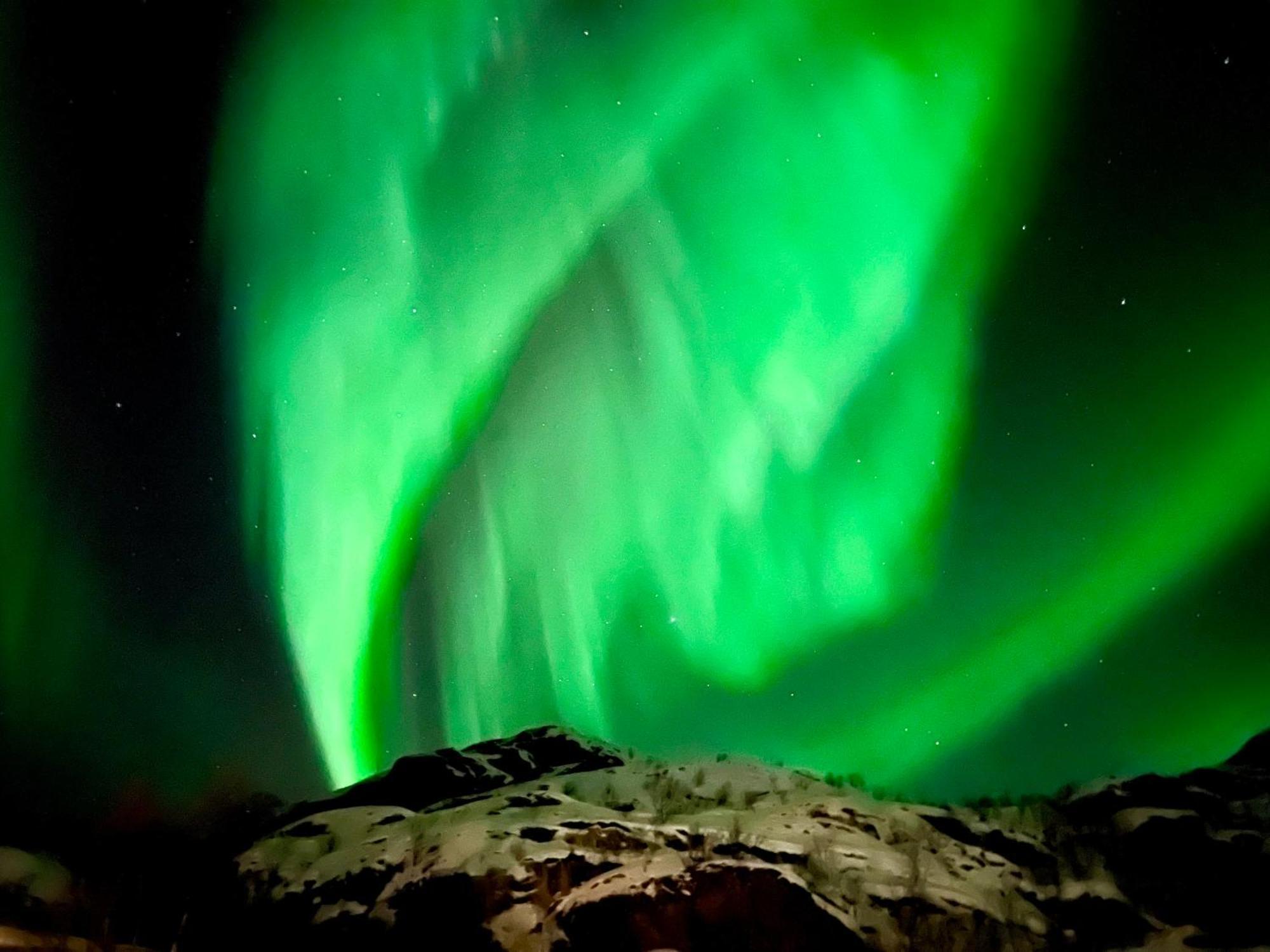 Campo de lujo Lofoten Glampingdome