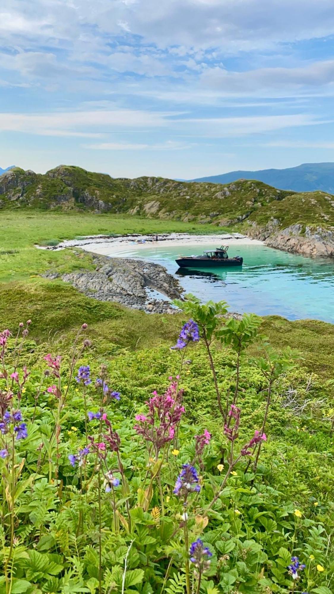 Campo de lujo Lofoten Glampingdome Myrland
